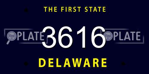 3616 Delaware License Plate