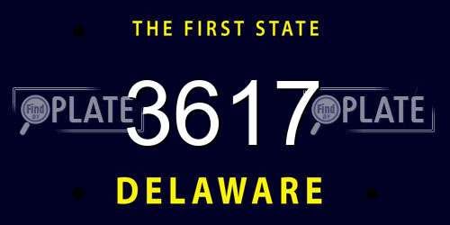 3617 Delaware License Plate