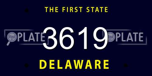 3619 Delaware License Plate