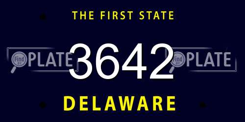 3642 Delaware License Plate