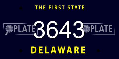 3643 Delaware License Plate