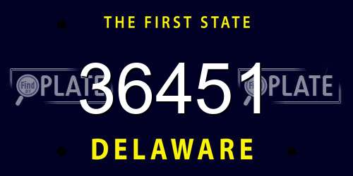 36451 Delaware License Plate