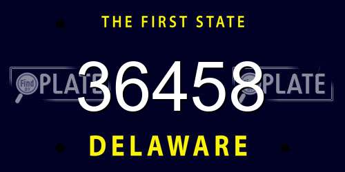 36458 Delaware License Plate