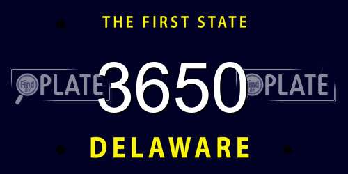 3650 Delaware License Plate