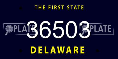 36503 Delaware License Plate