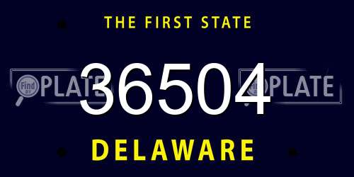 36504 Delaware License Plate
