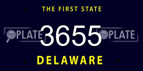 3655 Delaware License Plate