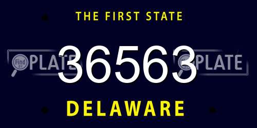 36563 Delaware License Plate