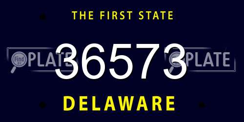 36573 Delaware License Plate