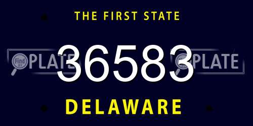 36583 Delaware License Plate