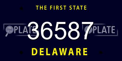 36587 Delaware License Plate