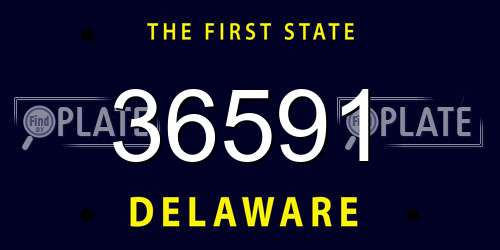 36591 Delaware License Plate