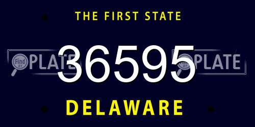 36595 Delaware License Plate
