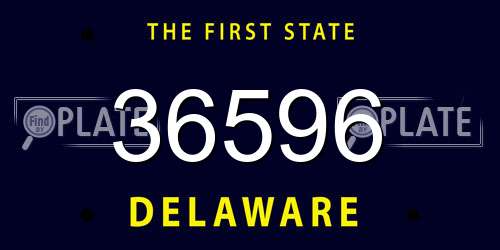 36596 Delaware License Plate