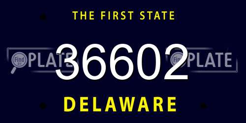36602 Delaware License Plate