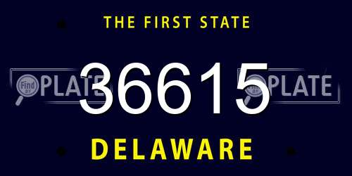 36615 Delaware License Plate