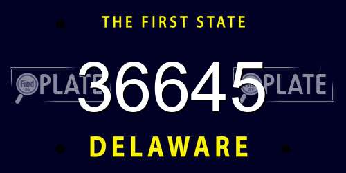 36645 Delaware License Plate