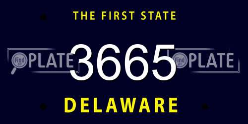3665 Delaware License Plate
