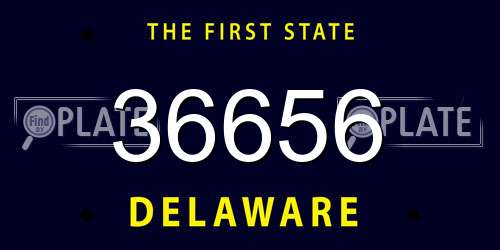 36656 Delaware License Plate
