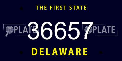 36657 Delaware License Plate