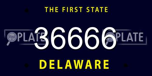 36666 Delaware License Plate