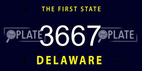 3667 Delaware License Plate