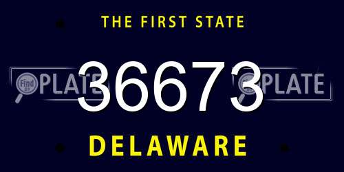 36673 Delaware License Plate