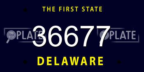 36677 Delaware License Plate