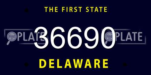 36690 Delaware License Plate