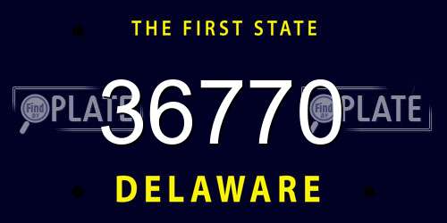 36770 Delaware License Plate