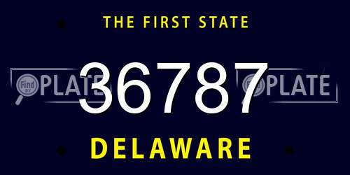 36787 Delaware License Plate