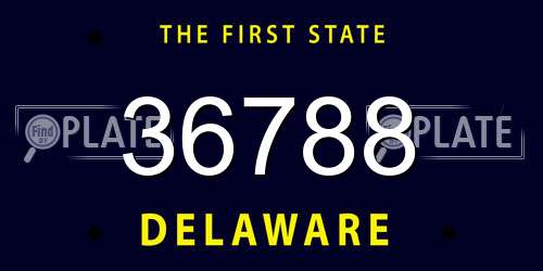 36788 Delaware License Plate