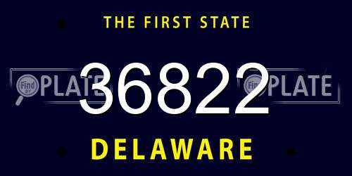 36822 Delaware License Plate
