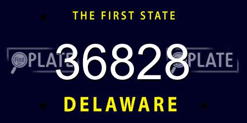 36828 Delaware License Plate