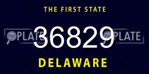 36829 Delaware License Plate