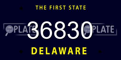 36830 Delaware License Plate