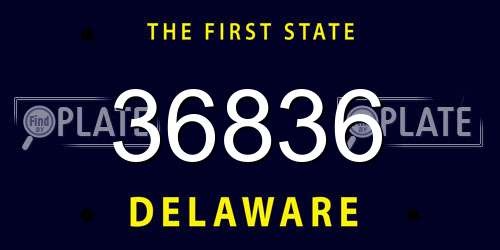 36836 Delaware License Plate