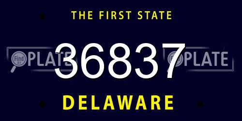 36837 Delaware License Plate