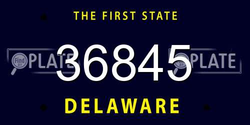 36845 Delaware License Plate