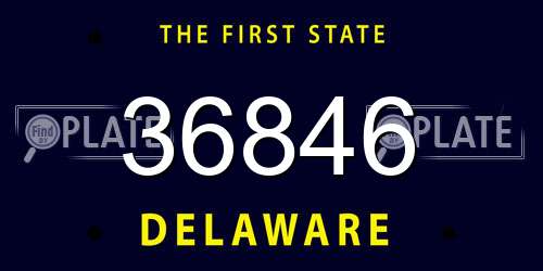 36846 Delaware License Plate
