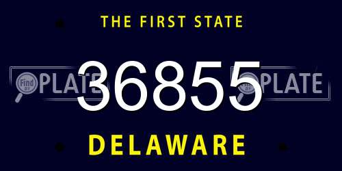 36855 Delaware License Plate