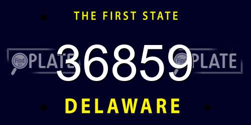 36859 Delaware License Plate