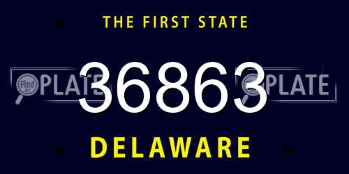 36863 Delaware License Plate