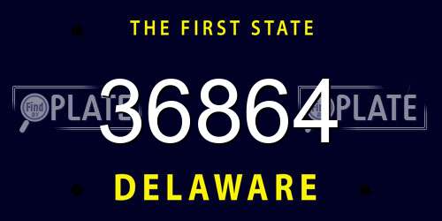 36864 Delaware License Plate