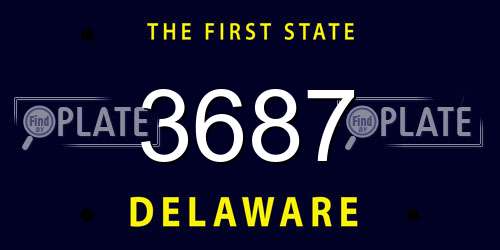 3687 Delaware License Plate