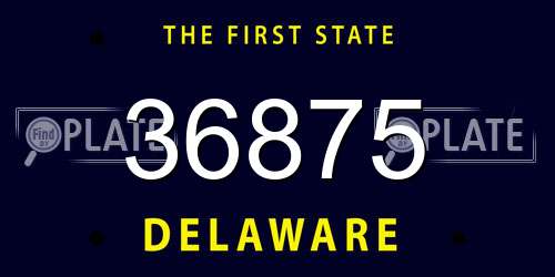 36875 Delaware License Plate