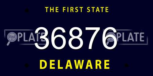 36876 Delaware License Plate