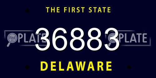 36883 Delaware License Plate