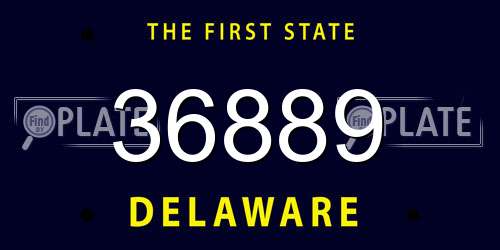36889 Delaware License Plate