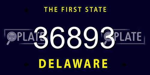 36893 Delaware License Plate